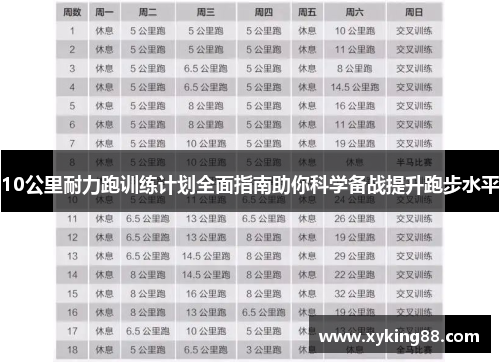 10公里耐力跑训练计划全面指南助你科学备战提升跑步水平