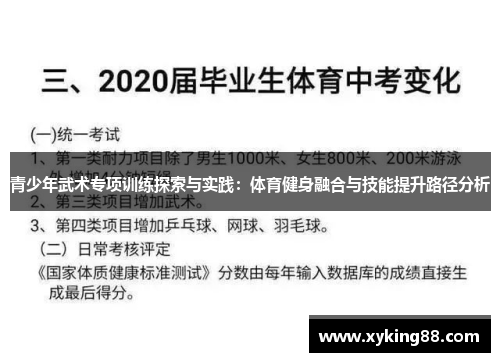 青少年武术专项训练探索与实践：体育健身融合与技能提升路径分析