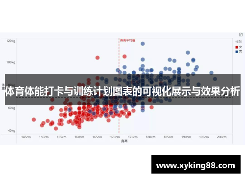 体育体能打卡与训练计划图表的可视化展示与效果分析