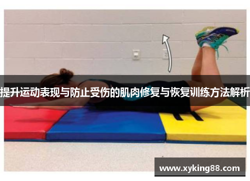 提升运动表现与防止受伤的肌肉修复与恢复训练方法解析