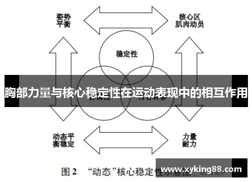 胸部力量与核心稳定性在运动表现中的相互作用